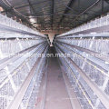 Chicken Cage System of Poultry Farm Equipments